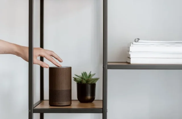 A hand interacts with a smart speaker on a minimalist shelf, featuring a plant and stacked books.